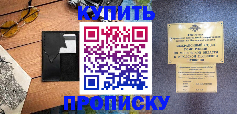 временная регистрация для всех в Шали